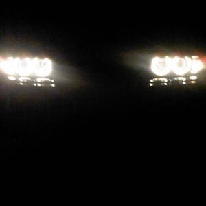 Meet your Posher, King